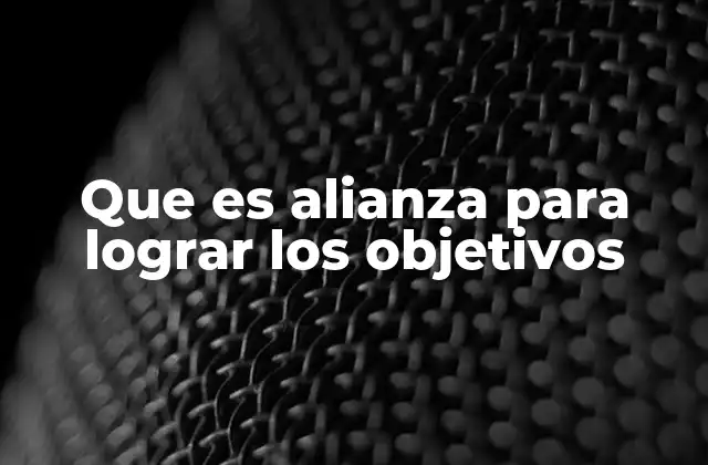 Que es Alianza para Lograr los Objetivos