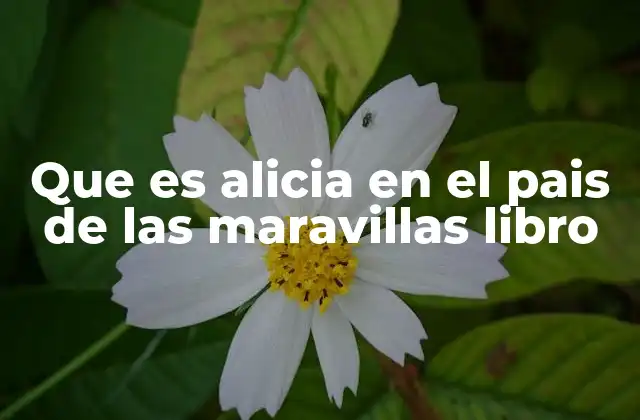 Que es Alicia en el Pais de las Maravillas Libro