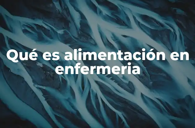 Qué es Alimentación en Enfermeria