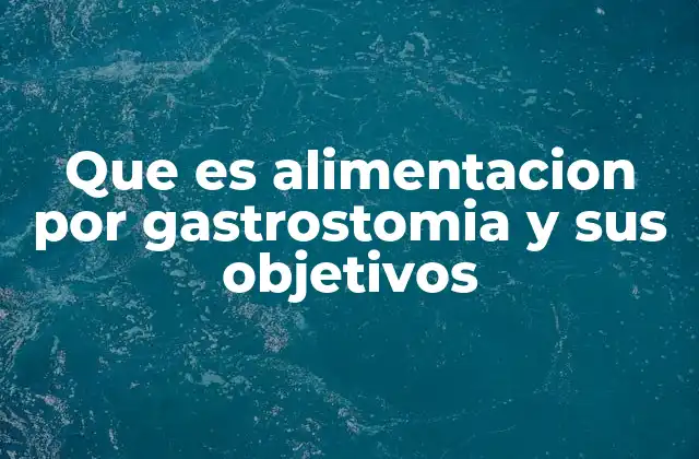 Que es Alimentacion por Gastrostomia y Sus Objetivos