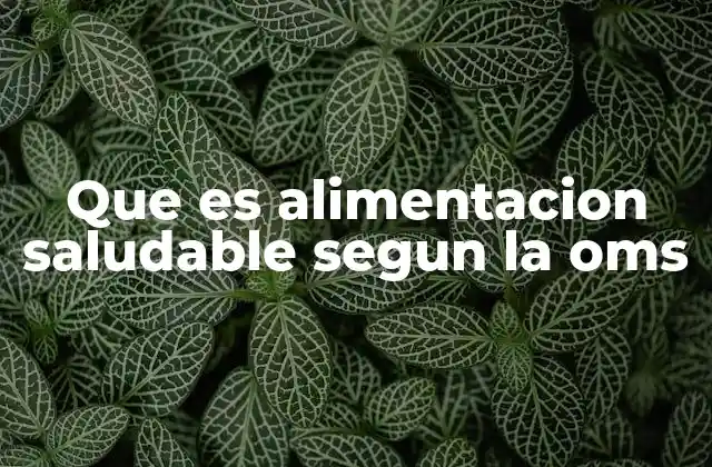 Que es Alimentacion Saludable Segun la Oms