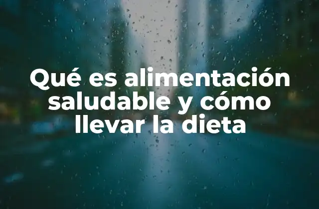Qué es Alimentación Saludable y Cómo Llevar la Dieta