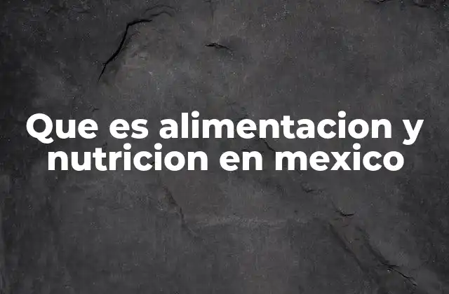 Que es Alimentacion y Nutricion en Mexico