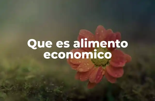 La importancia de los alimentos económicos en la dieta familiar
