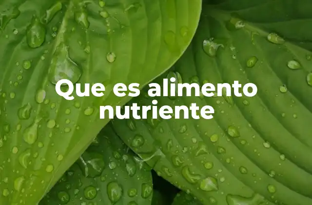 Que es Alimento Nutriente 2 La importancia de los alimentos con alto contenido de nutrientes