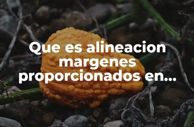 Que es Alineacion Margenes Proporcionados en Word