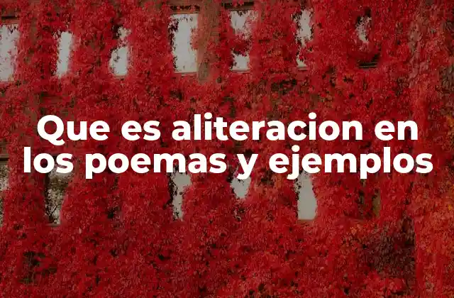Que es Aliteracion en los Poemas y Ejemplos
