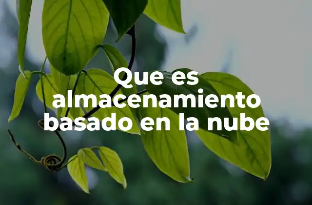 Que es Almacenamiento Basado en la Nube