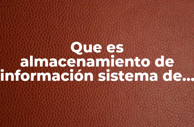 Que es Almacenamiento de Información Sistema de Cómputo