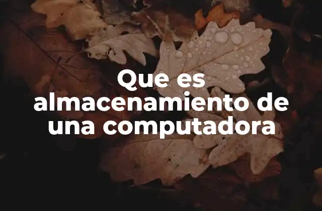 Que es Almacenamiento de una Computadora