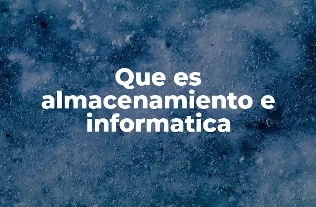 Que es Almacenamiento e Informatica