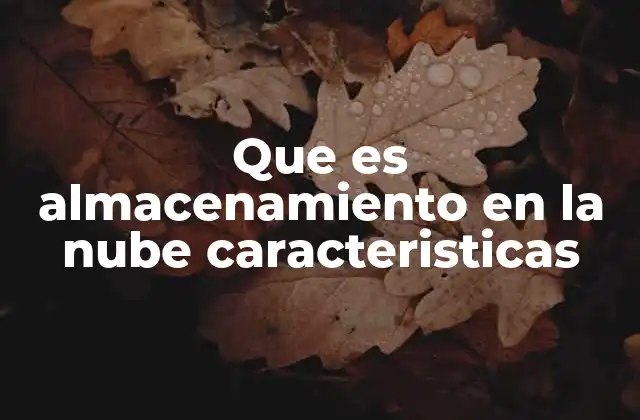 Que es Almacenamiento en la Nube Caracteristicas