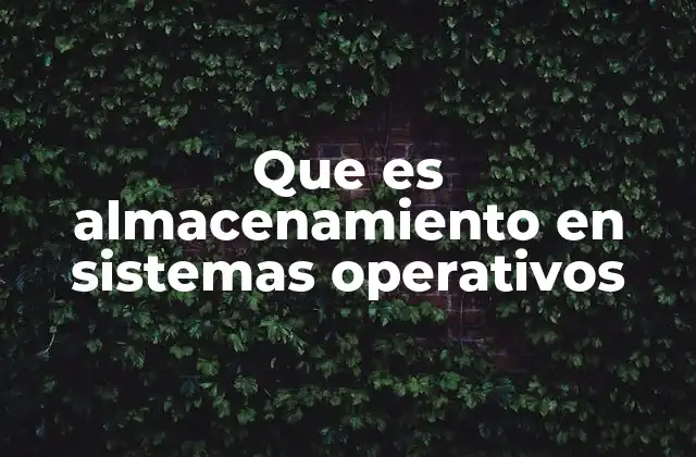 Que es Almacenamiento en Sistemas Operativos