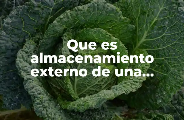 Que es Almacenamiento Externo de una Computadora