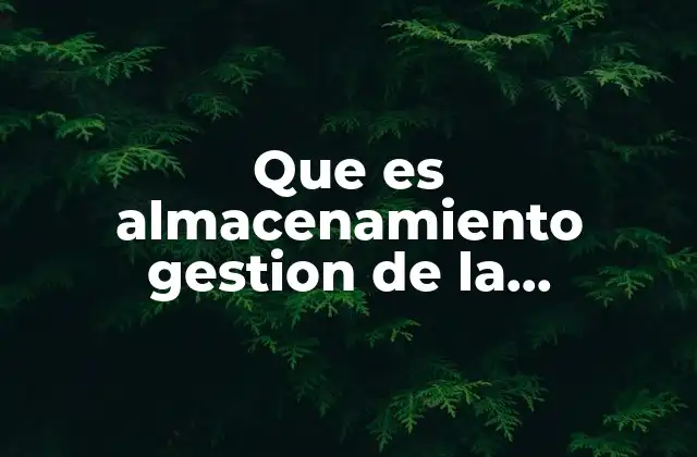 Que es Almacenamiento Gestion de la Produccion