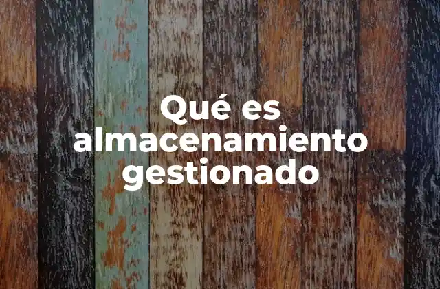 Qué es Almacenamiento Gestionado