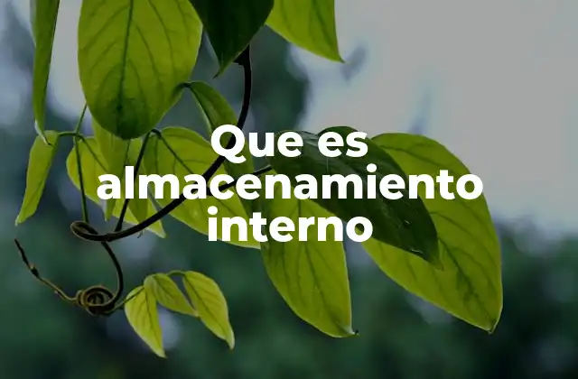 Que es Almacenamiento Interno
