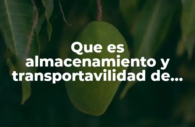 Que es Almacenamiento y Transportavilidad de Informacion