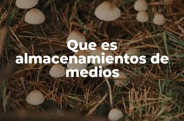 Que es Almacenamientos de Medios