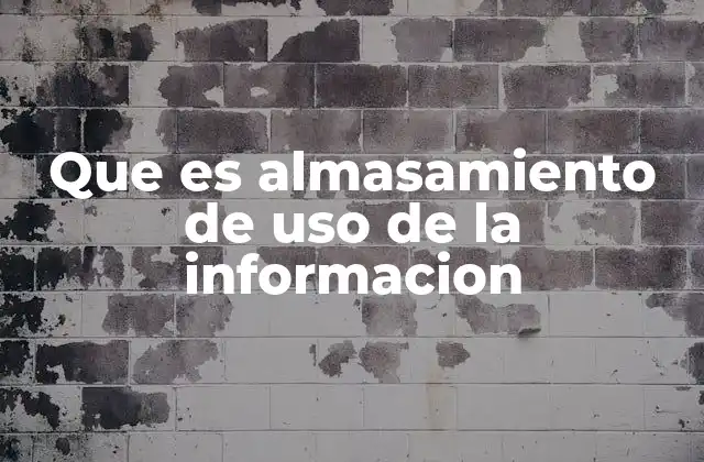 Que es Almasamiento de Uso de la Informacion