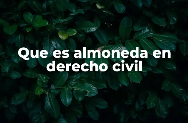Que es Almoneda en Derecho Civil