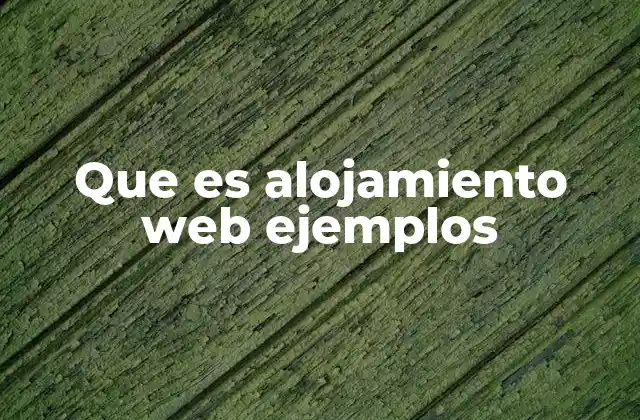 Que es Alojamiento Web Ejemplos