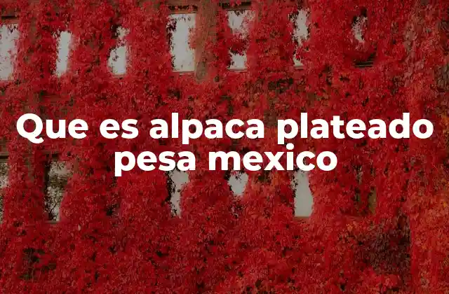 Que es Alpaca Plateado Pesa Mexico