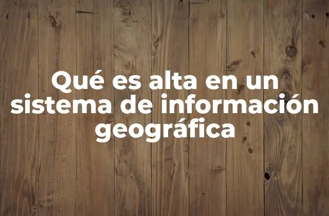 Qué es Alta en un Sistema de Información Geográfica