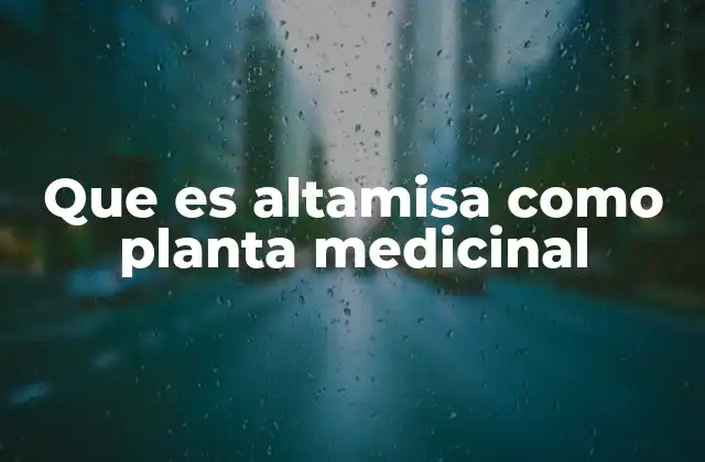 Que es Altamisa como Planta Medicinal