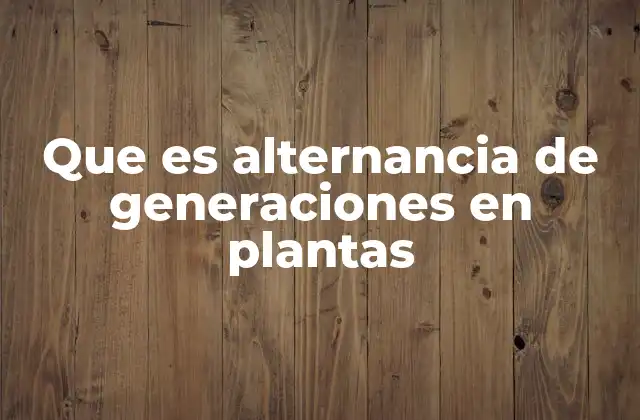 El ciclo de vida de las plantas y sus fases