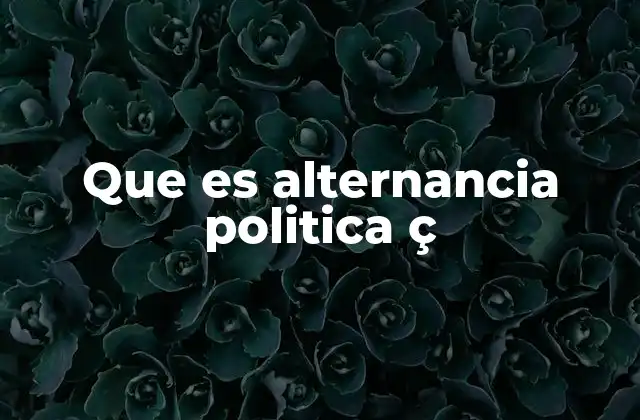 Que es Alternancia Politica Ç