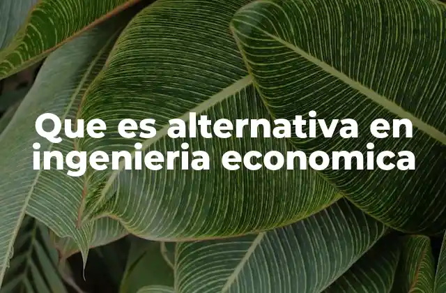 Que es Alternativa en Ingenieria Economica