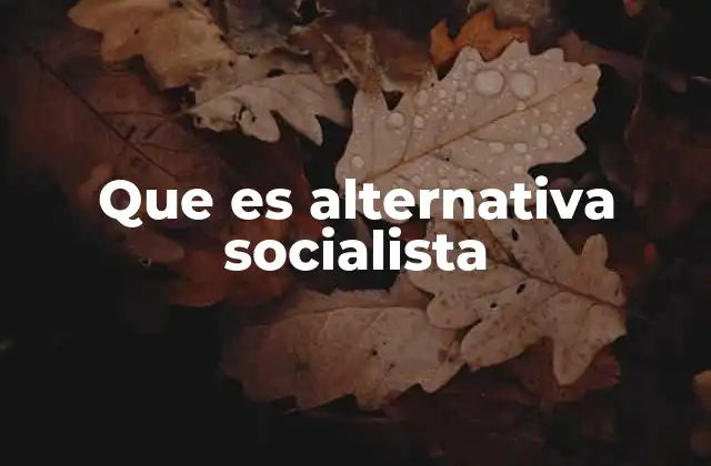 Que es Alternativa Socialista