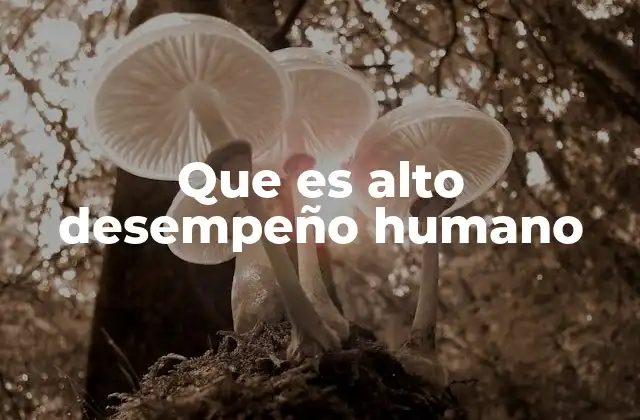 Las bases psicológicas del desempeño humano superior