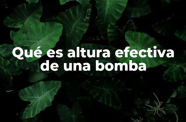 Qué es Altura Efectiva de una Bomba