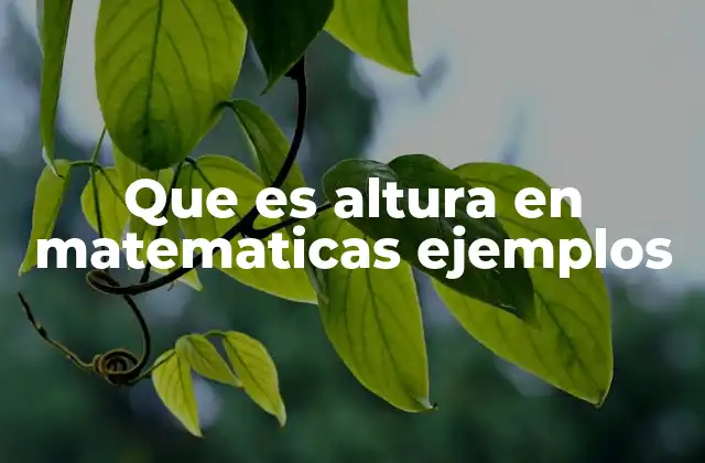 Que es Altura en Matematicas Ejemplos