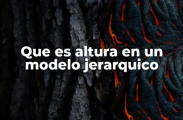Que es Altura en un Modelo Jerarquico 2 La jerarquía como base para entender la altura