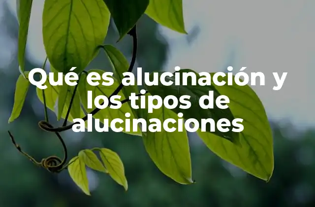 Qué es Alucinación y los Tipos de Alucinaciones
