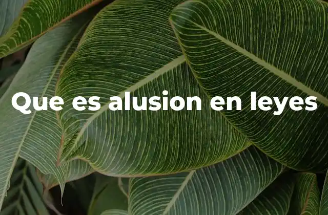 La importancia de la alusión en la interpretación judicial