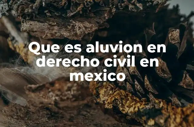 Que es Aluvion en Derecho Civil en Mexico
