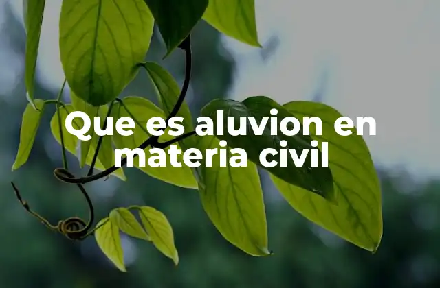 Que es Aluvion en Materia Civil