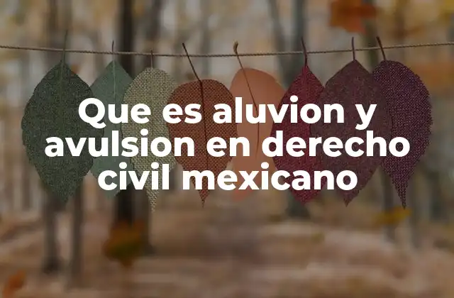 Que es Aluvion y Avulsion en Derecho Civil Mexicano