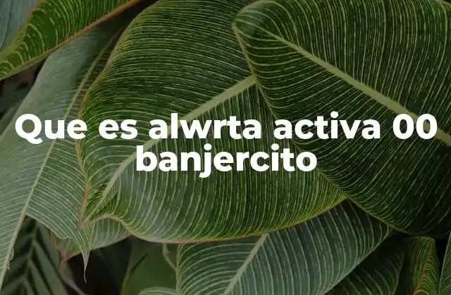 Que es Alwrta Activa 00 Banjercito