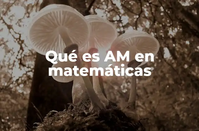 Qué es Am en Matemáticas