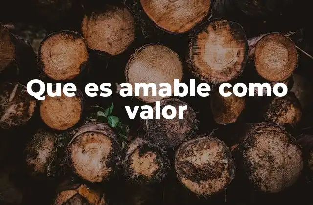 Que es Amable como Valor