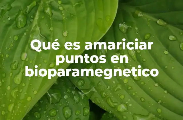 Qué es Amariciar Puntos en Bioparamegnetico