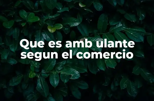 Que es Amb Ulante Segun el Comercio