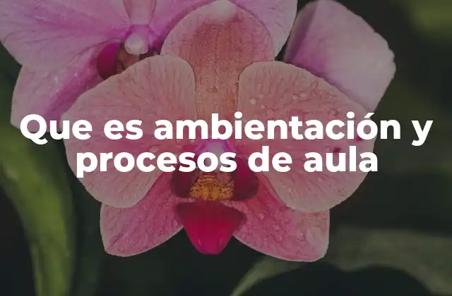 Que es Ambientación y Procesos de Aula
