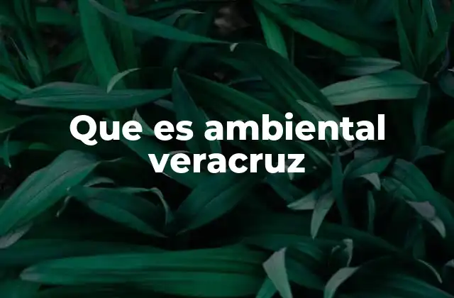 Que es Ambiental Veracruz