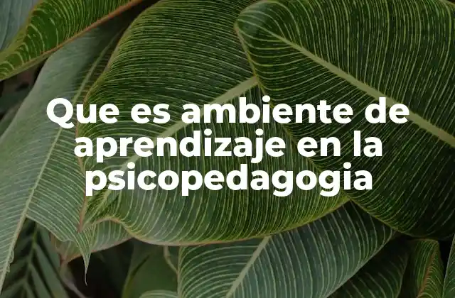 Que es Ambiente de Aprendizaje en la Psicopedagogia